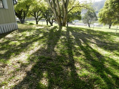 Rare opportunity to acquire the Morton Mobile Home Park, a - photo 17
