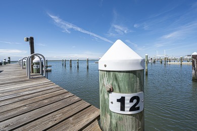 Bayfront Bliss Awaits!  Step into luxury with this fully