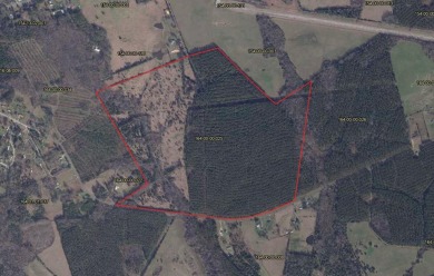 Lake Lot For Sale in Calhoun Falls, South Carolina