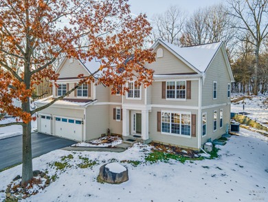 Duck Lake Home For Sale in Fox Lake Illinois