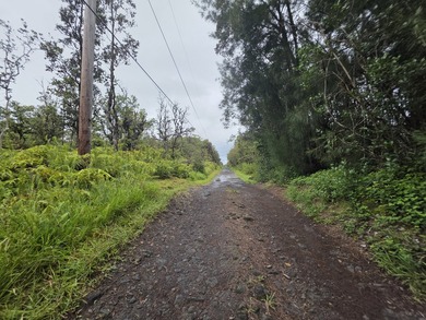 Vacant 3 acre lots. Just of D road Undeveloped with lots of Ohia - photo 3