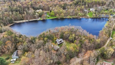 LAKEFRONT LOG HOME with 500+ feet of shoreline on 2.25 acres, NO - photo 4