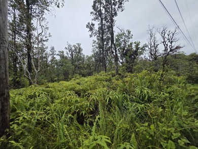 Vacant 3 acre lots. Just of D road Undeveloped with lots of Ohia - photo 5