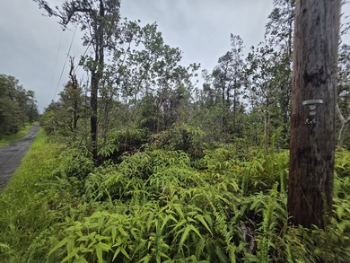 Vacant 3 acre lots. Just of D road Undeveloped with lots of Ohia - photo 6