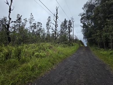 Vacant 3 acre lots. Just of D road Undeveloped with lots of Ohia - photo 8