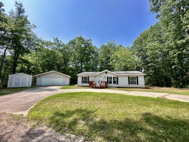 Lake Home For Sale in Johannesburg, Michigan