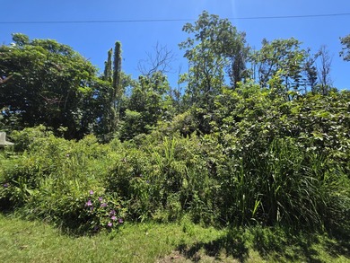 Don't miss this opportunity to own a beautiful vacant lot in the - photo 2