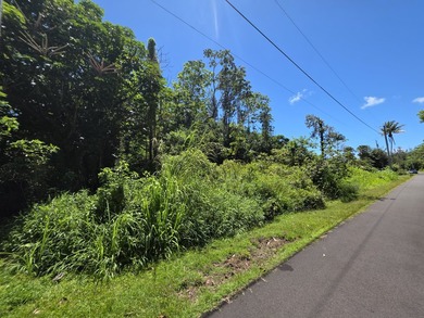 Don't miss this opportunity to own a beautiful vacant lot in the - photo 3