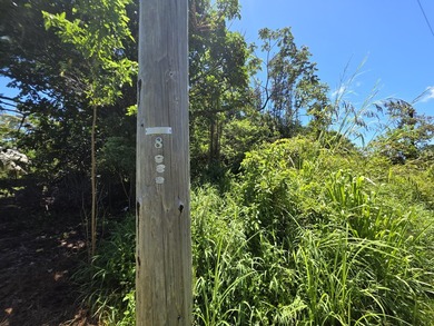 Don't miss this opportunity to own a beautiful vacant lot in the - photo 4