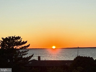 Stunning bayfront home in Harvey Cedars, expanded and re - photo 46