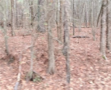 Norris Lake Lot Active Under Contract in Snellville Georgia