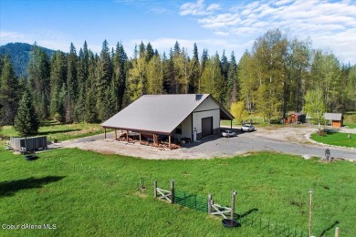 Priest Lake Home For Sale in Priest Lake Idaho