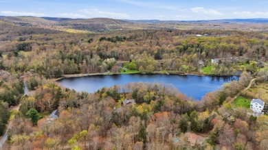 LAKEFRONT LOG HOME with 500+ feet of shoreline on 2.25 acres, NO - photo 3