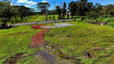 Vacant Lot just off of Volcano Highway. Ready to build. Just a - photo 3