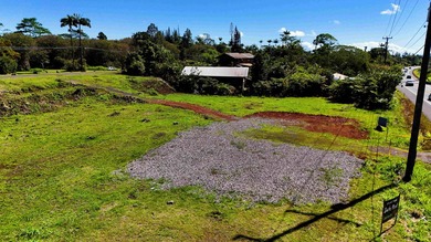 Vacant Lot just off of Volcano Highway. Ready to build. Just a - photo 8