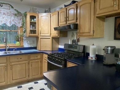 Beautifully sited house on 2.3 acres of fruit trees and gardens - photo 7