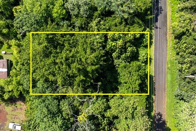 Discover the potential of this tropical homesite nestled in - photo 1