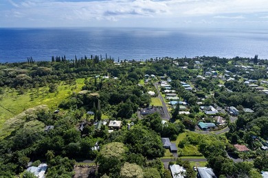 Discover the potential of this tropical homesite nestled in - photo 3