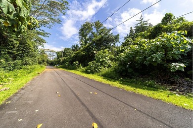 Discover the potential of this tropical homesite nestled in - photo 4