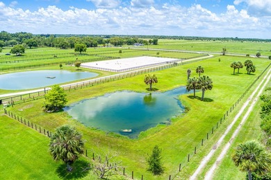Escape to peaceful country living with this beautiful 5.63-acre - photo 4