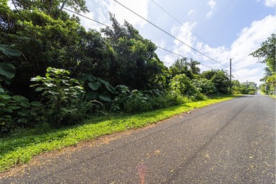 Discover the potential of this tropical homesite nestled in - photo 5
