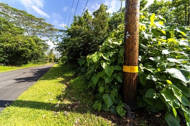 Discover the potential of this tropical homesite nestled in - photo 6