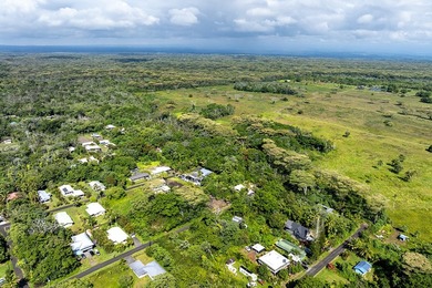 Discover the potential of this tropical homesite nestled in - photo 9