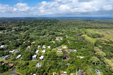 Discover the potential of this tropical homesite nestled in - photo 10