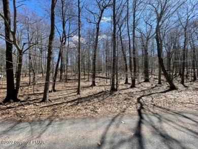 Lake Lot For Sale in Canadensis, Pennsylvania