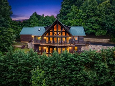 (private lake, pond, coastal) Home For Sale in Hiawassee Georgia