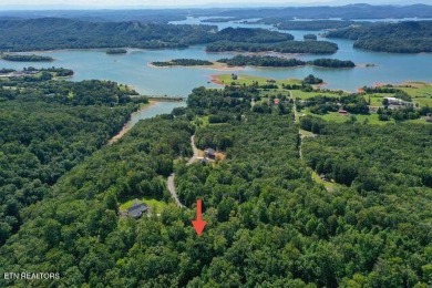 Cherokee Lake Acreage For Sale in Bean Station Tennessee