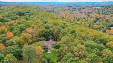Nestled on over 7+ acres in a tranquil cul-de-sac, this - photo 42