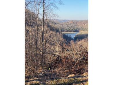 Peaceful Lake Lot  - Lake Lot For Sale in Smithville, Tennessee