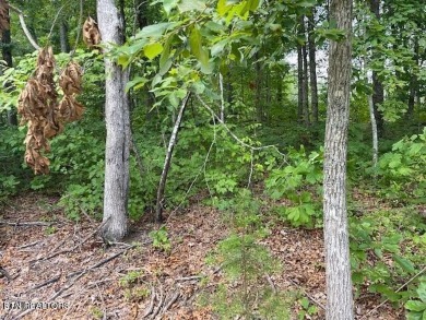 Stillhouse Creek Lake Lot For Sale in Crossville Tennessee