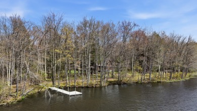LAKEFRONT LOG HOME with 500+ feet of shoreline on 2.25 acres, NO - photo 2