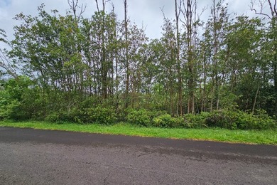 Prime Vacant Lot on Paved Road - Tiki Gardens This 8,100 square - photo 3