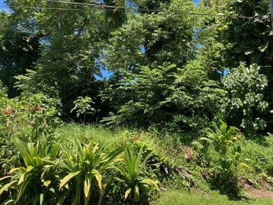 Hawaiian Parks Subdivision - densely forested lot in an area - photo 1