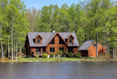 LAKEFRONT LOG HOME with 500+ feet of shoreline on 2.25 acres, NO - photo 27