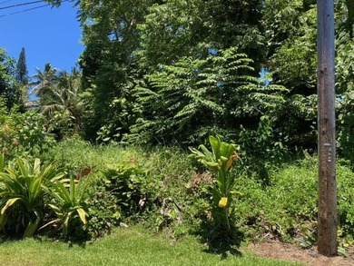 Hawaiian Parks Subdivision - densely forested lot in an area - photo 3