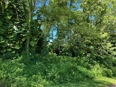 Hawaiian Parks Subdivision - densely forested lot in an area - photo 4