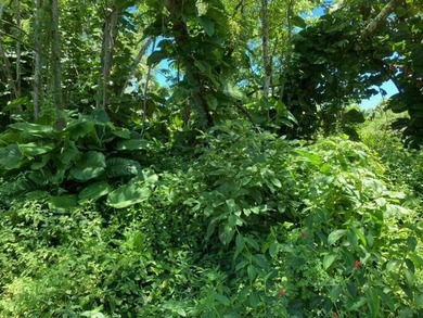Hawaiian Parks Subdivision - densely forested lot in an area - photo 5
