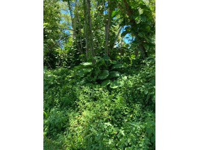 Hawaiian Parks Subdivision - densely forested lot in an area - photo 6