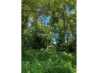 Hawaiian Parks Subdivision - densely forested lot in an area - photo 8