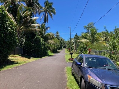 Hawaiian Parks Subdivision - densely forested lot in an area - photo 9