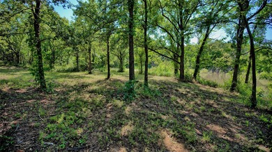Waterfront acreage located on the west side of Lake Nocona and - photo 4