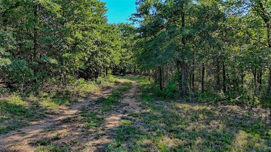Waterfront acreage located on the west side of Lake Nocona and - photo 10