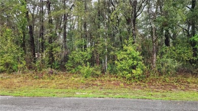 Lake Lot For Sale in Dunnellon, Florida