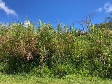 Hawaiian Parks Subdivision - check out this great lot in a - photo 4