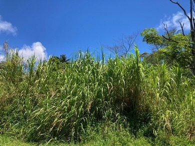 Hawaiian Parks Subdivision - check out this great lot in a - photo 6