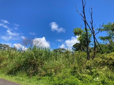 Hawaiian Parks Subdivision - check out this great lot in a - photo 8